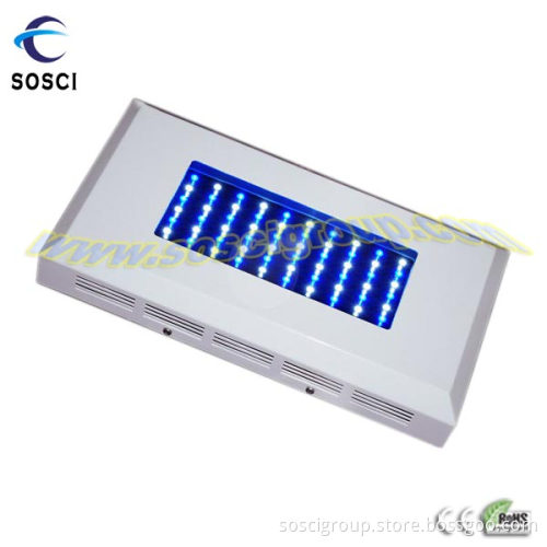 55*3W LED Aquarium Lights (SOSCI-A55*3W)